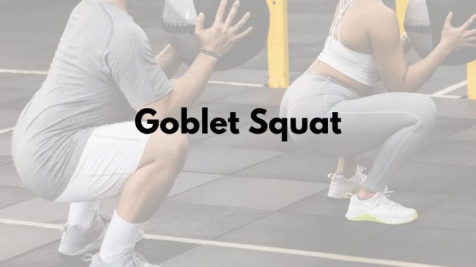 goblet squat